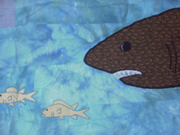 Mr Shark is HUNUGRY